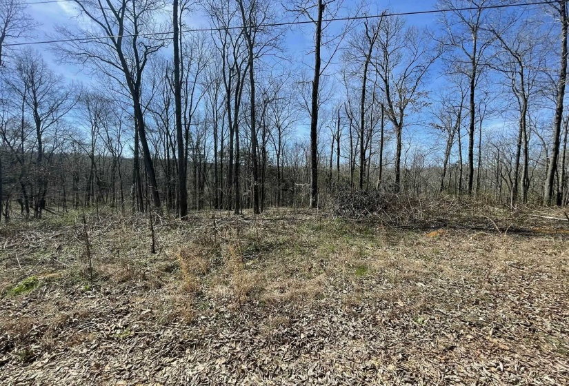 2 DELTA QUEEN CV, Savannah, Tennessee 38372, ,Land,For Sale,DELTA QUEEN,10224406