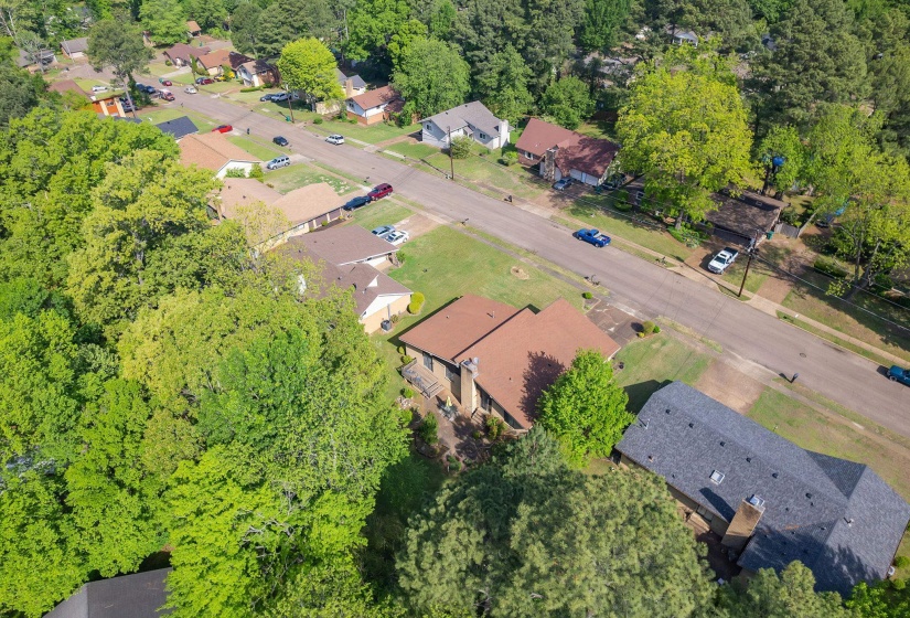 Aerial perspective showcasing multiple residential properties and verdant mature trees