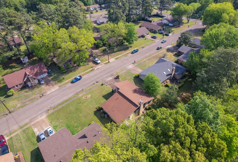 Residential neighborhood featuring a paved street, mature trees, and single-story homes with various rooflines