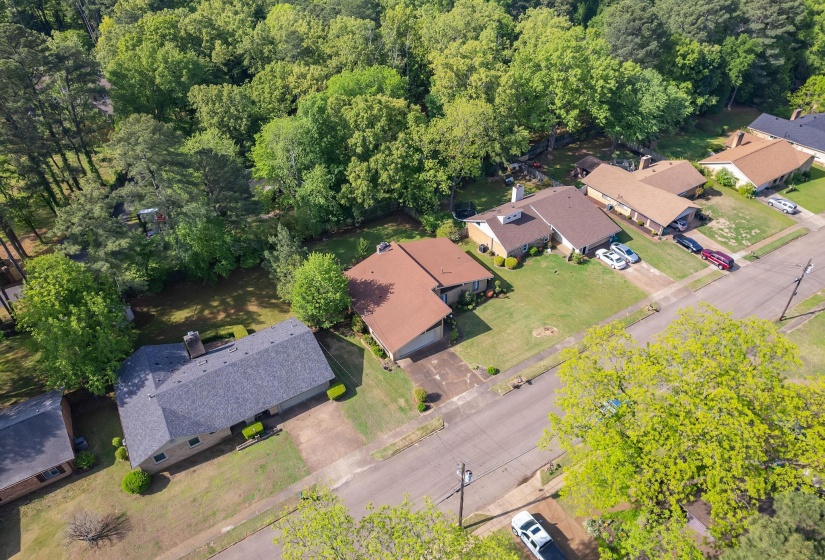 Residential property featuring a gray shingle roof and surrounding green spaces