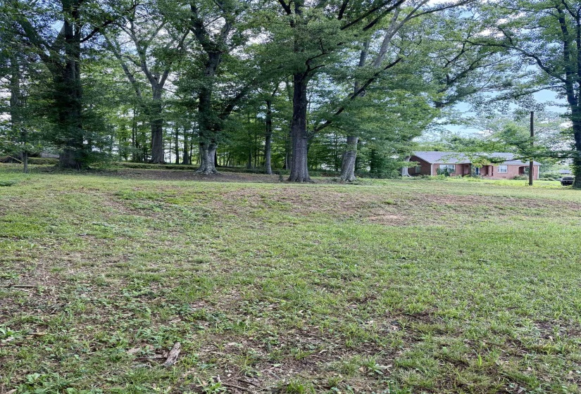 Expansive green lot with established trees and a distant brick residence featuring a white-trimmed roofline and a front porch