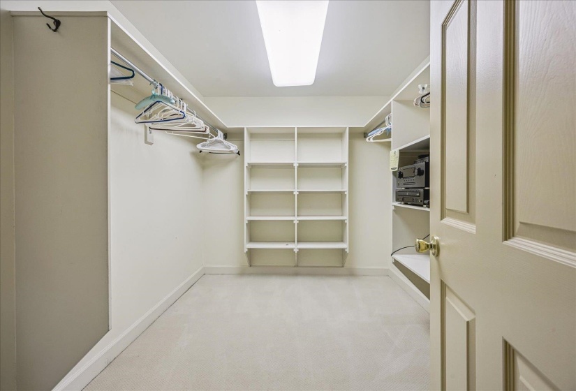 Walk-in closet featuring built-in shelving, hanging rods, recessed lighting, carpet flooring, and a paneled door