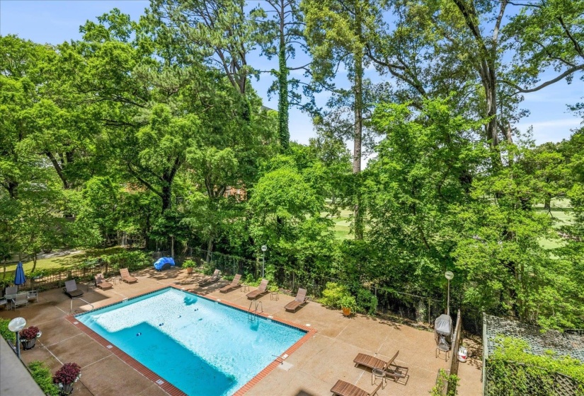 Swimming pool with a surrounding concrete deck and mature tree canopy