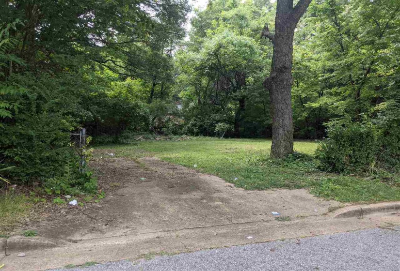 0 DUBLIN DR, Memphis, Tennessee 38114, 0 , 0 ,0,Land,For Sale,DUBLIN,0,10224336