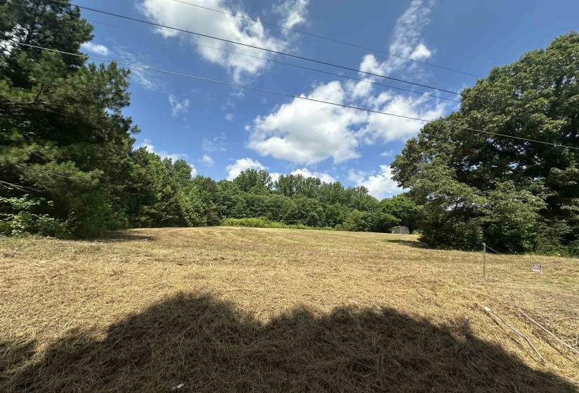 2015 BELL GROVE RD, Oakland, Tennessee 38060, ,Land,For Sale,BELL GROVE,10224433