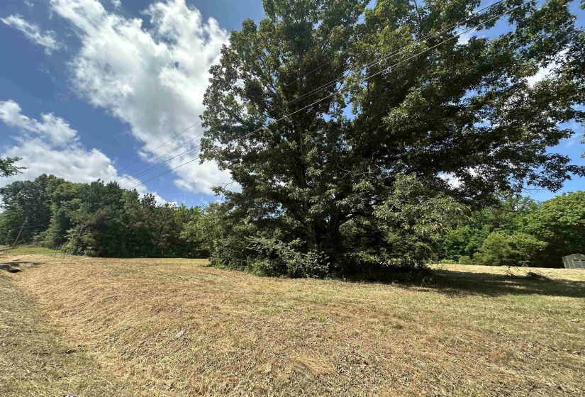 2015 BELL GROVE RD, Oakland, Tennessee 38060, ,Land,For Sale,BELL GROVE,10224433