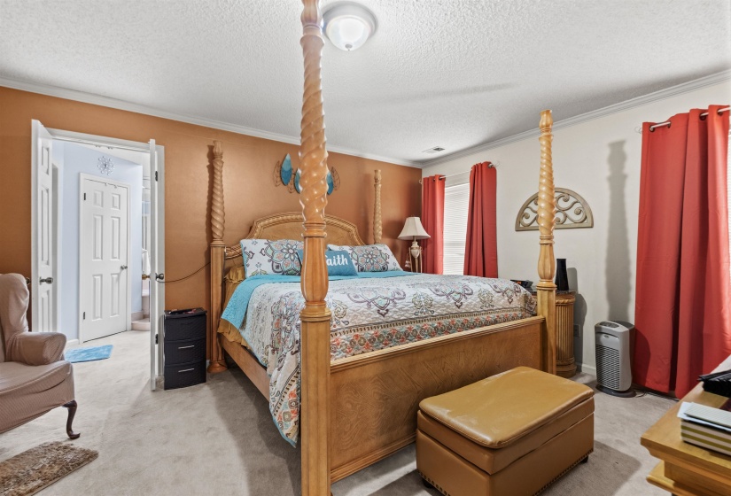 Spacious bedroom featuring carpet flooring, painted walls, and crown molding