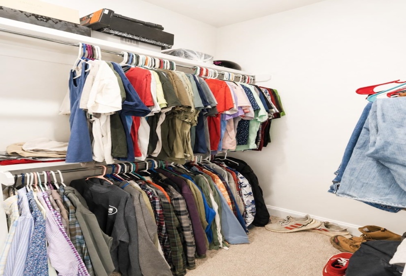 Closet space featuring white walls and neutral-toned carpeting