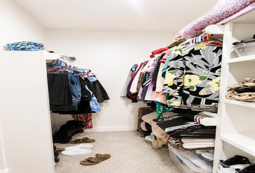 Walk-in closet featuring light-colored carpeting, built-in shelving, and hanging rod storage