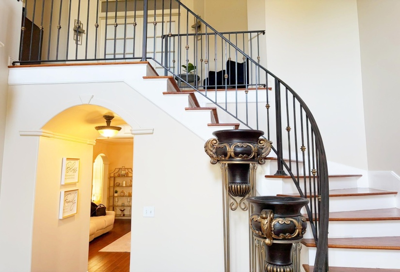 Curved staircase featuring wrought iron balusters and wood-finish treads