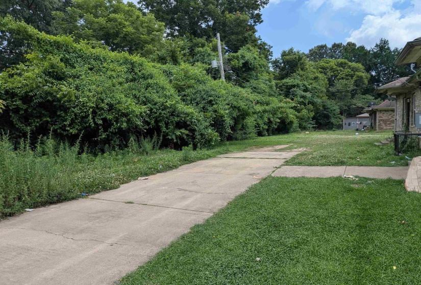Concrete driveway bordered by green lawn and mature trees