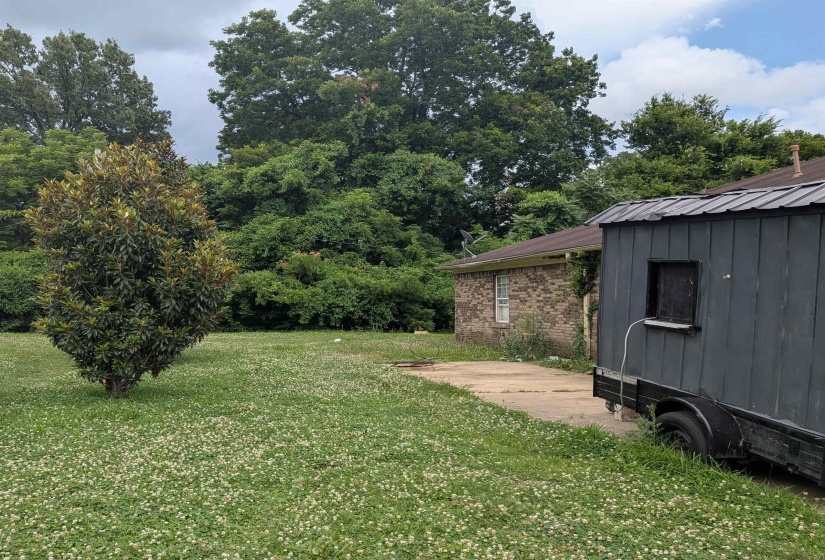 Expansive green lawn with a mature tree