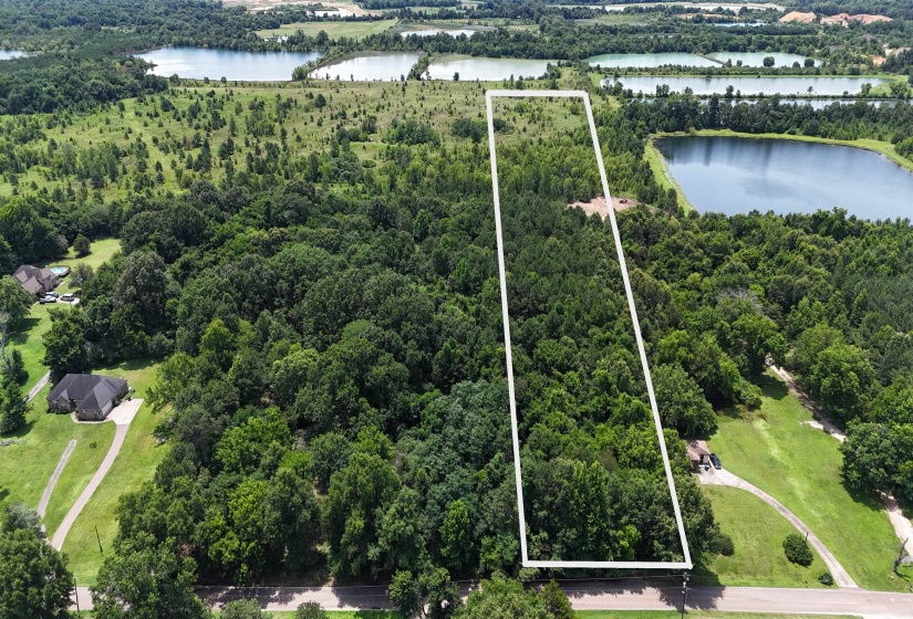 View facing south from the road.