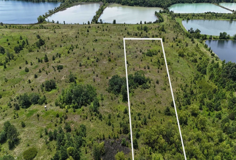 Southern - open half of property.
