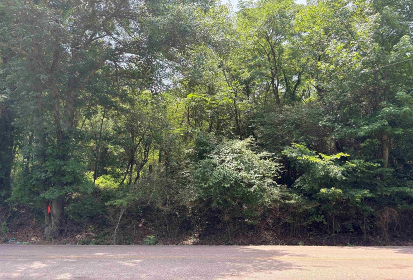 10477 GODWIN RD, Arlington, Tennessee 38002, ,Land,For Sale,GODWIN,10224463