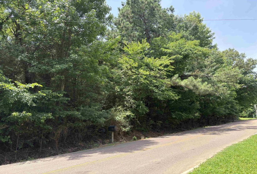 10477 GODWIN RD, Arlington, Tennessee 38002, ,Land,For Sale,GODWIN,10224463
