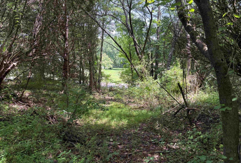 10477 GODWIN RD, Arlington, Tennessee 38002, ,Land,For Sale,GODWIN,10224463
