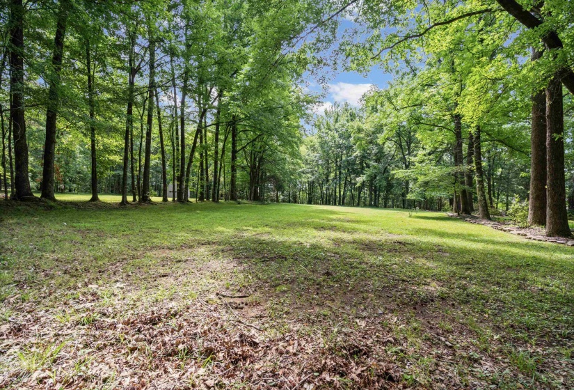 Expansive natural landscape with a large open grass area bordered by mature trees
