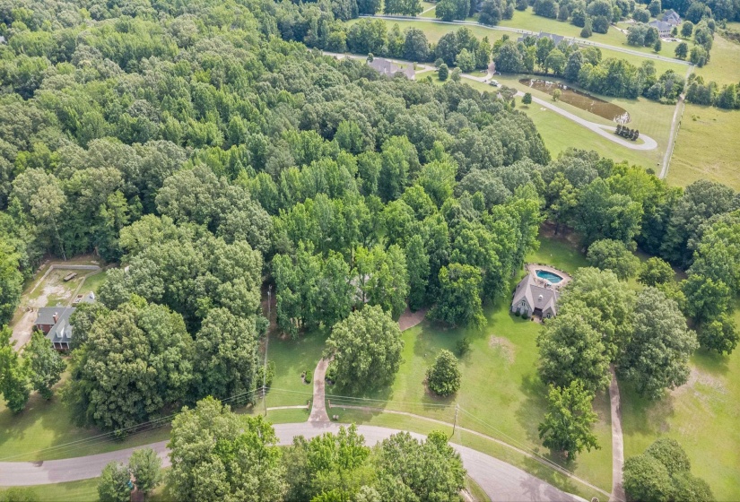 Expansive property featuring dense mature trees and cleared land