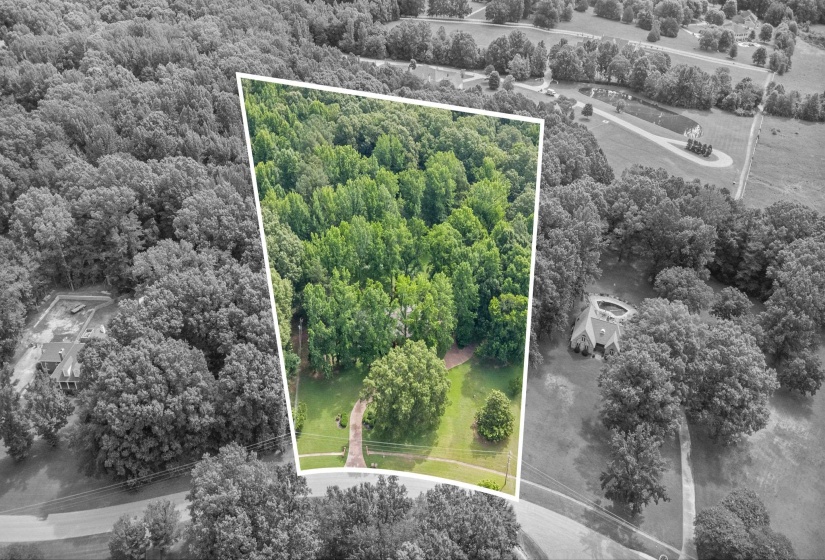 Expansive wooded parcel featuring mature trees, a partially cleared building site, and a paved private drive
