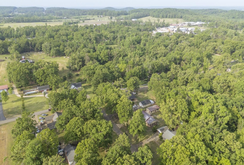 Expansive acreage featuring mature trees and open fields