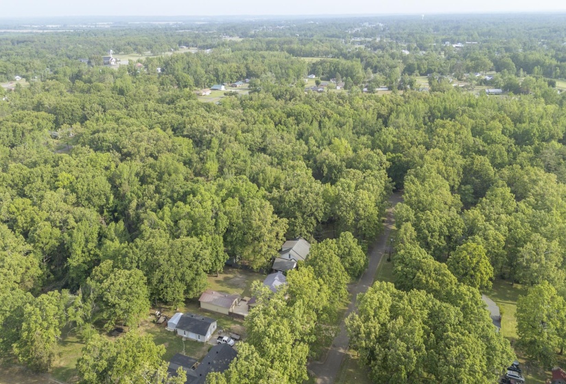 Extensive tree canopy surrounding residential properties and roadways