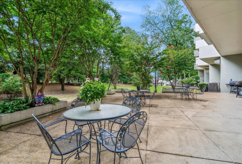 Expansive concrete patio with multiple seating areas, surrounded by mature trees and landscaped raised planters