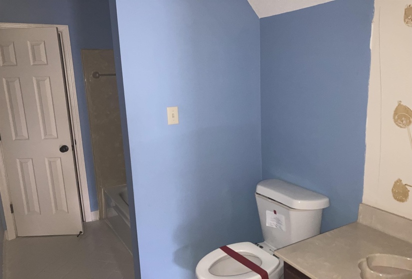 Bathroom featuring a white toilet, light blue painted walls, and a vanity with a light-colored countertop
