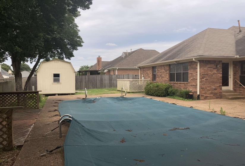 Backyard featuring an in-ground swimming pool, a detached storage shed, and a brick exterior home with a shingle roof