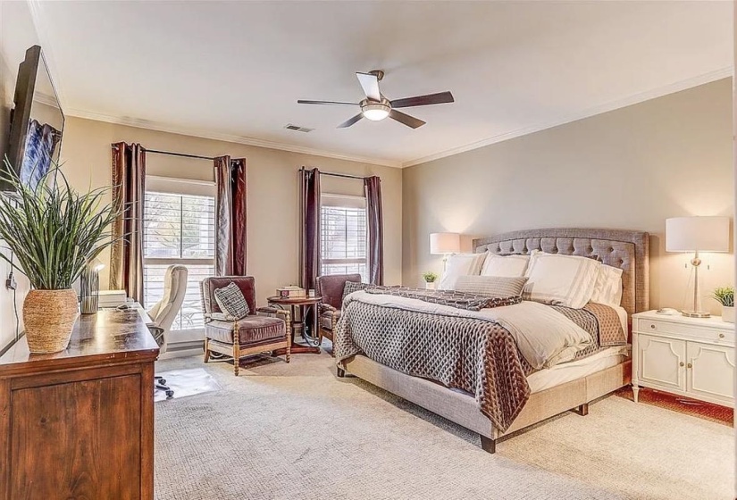 Carpeted room featuring two windows with blinds and drapes, a ceiling fan, and crown molding
