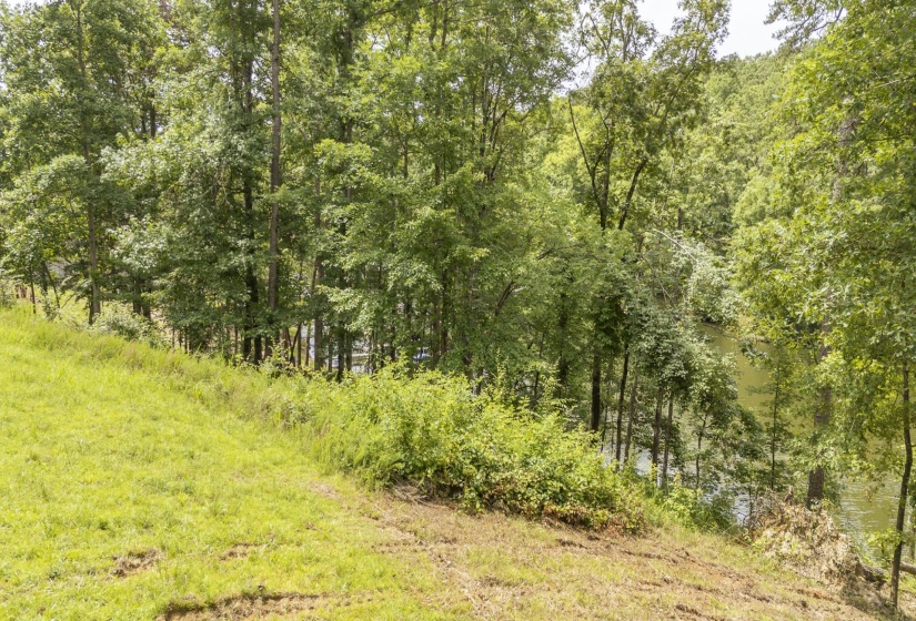 LOT 181 ARBORWOOD LN, Savannah, Tennessee 38372, ,Land,For Sale,ARBORWOOD,10224484