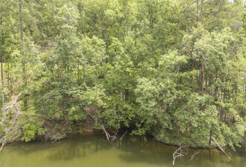 LOT 181 ARBORWOOD LN, Savannah, Tennessee 38372, ,Land,For Sale,ARBORWOOD,10224484
