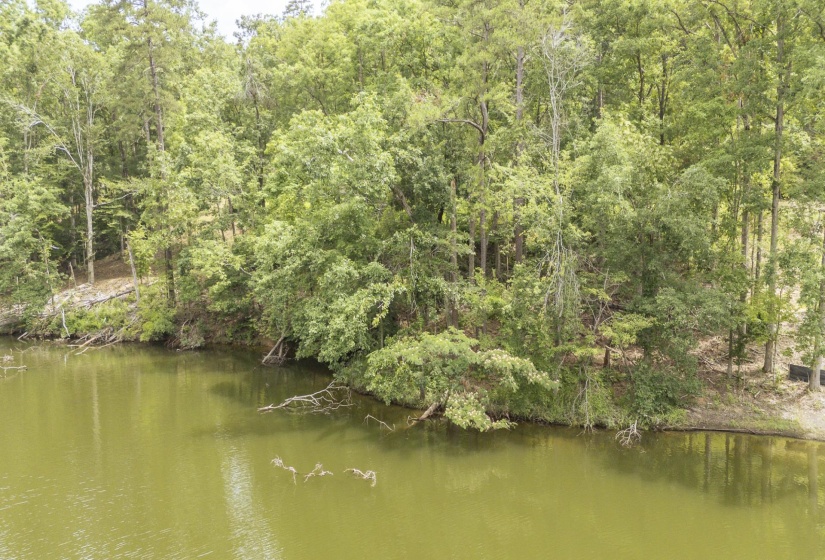 LOT 181 ARBORWOOD LN, Savannah, Tennessee 38372, ,Land,For Sale,ARBORWOOD,10224484