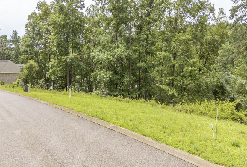 LOT 181 ARBORWOOD LN, Savannah, Tennessee 38372, ,Land,For Sale,ARBORWOOD,10224484
