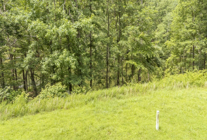 LOT 181 ARBORWOOD LN, Savannah, Tennessee 38372, ,Land,For Sale,ARBORWOOD,10224484