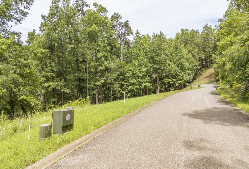 LOT 181 ARBORWOOD LN, Savannah, Tennessee 38372, ,Land,For Sale,ARBORWOOD,10224484