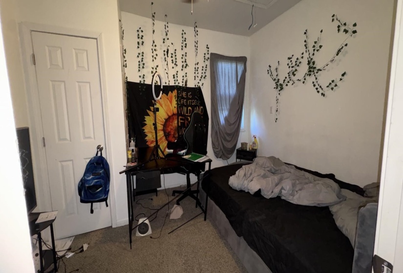 Carpeted room featuring a white paneled door, a single window with curtain, and a ceiling fan