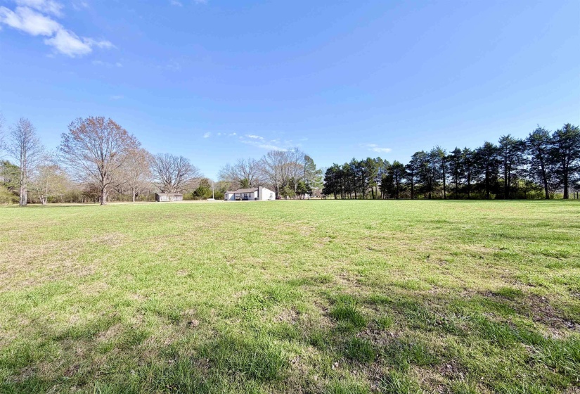 View of green lawn