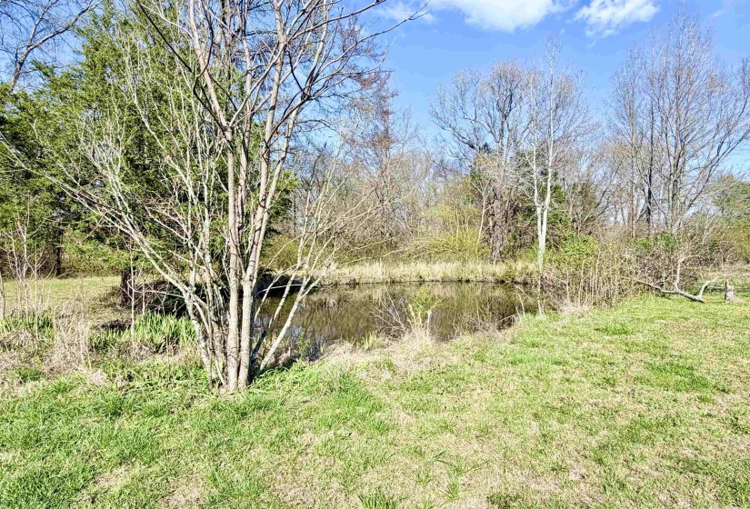View of yard featuring a water view