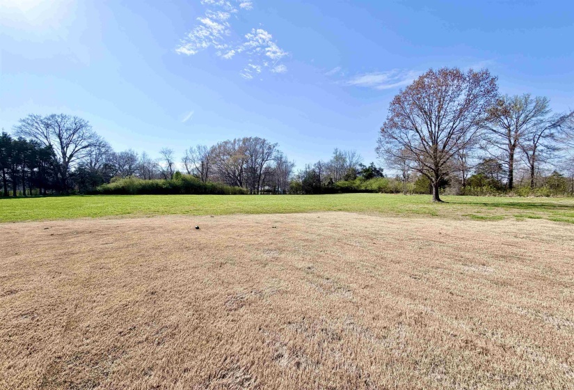 View of green lawn