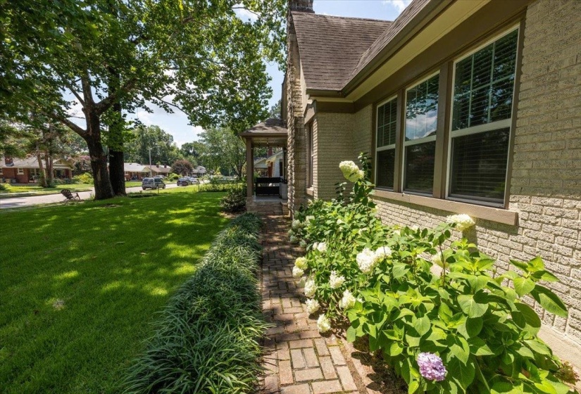 Yard