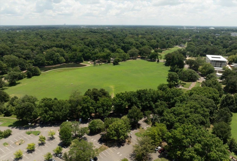 Expansive green space featuring a large central lawn, surrounding mature trees, and a pond