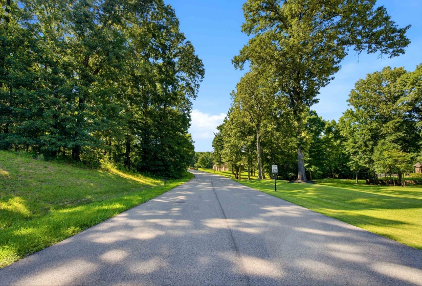 40 KINGSBURY CV, Eads, Tennessee 38028, ,Land,For Sale,KINGSBURY,10224523