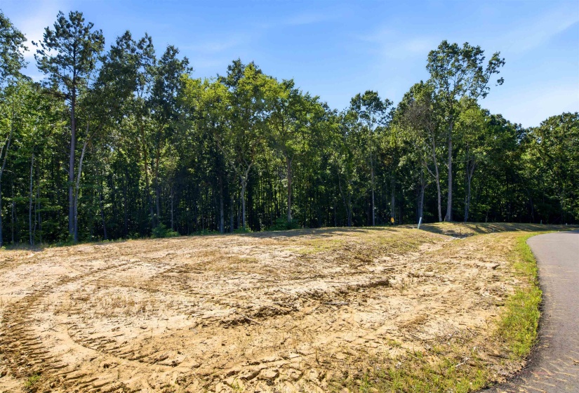 40 KINGSBURY CV, Eads, Tennessee 38028, ,Land,For Sale,KINGSBURY,10224523