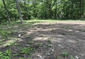 0 WATKINS RD, Millington, Tennessee 38053, ,Land,For Sale,WATKINS,10224531 0 WATKINS RD, Millington, Tennessee 38053, ,Land,For Sale,WATKINS,10224531