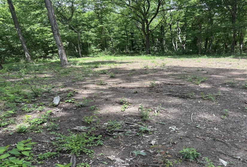 0 WATKINS RD, Millington, Tennessee 38053, ,Land,For Sale,WATKINS,10224531