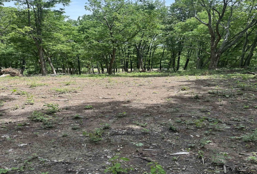 0 WATKINS RD, Millington, Tennessee 38053, ,Land,For Sale,WATKINS,10224531