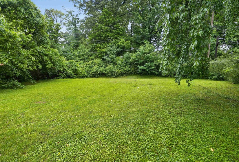Expansive green lawn surrounded by mature trees and lush foliage, offering a private outdoor environment