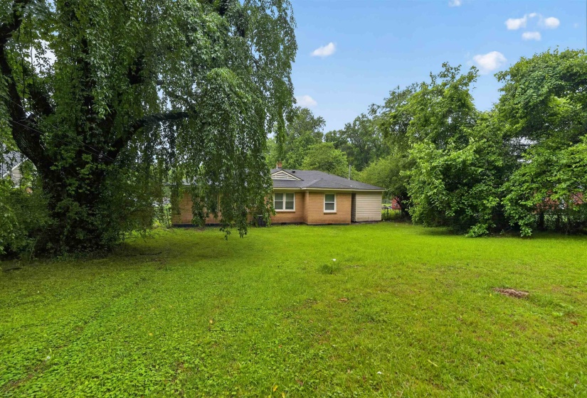Expansive backyard featuring a lush green lawn and mature trees