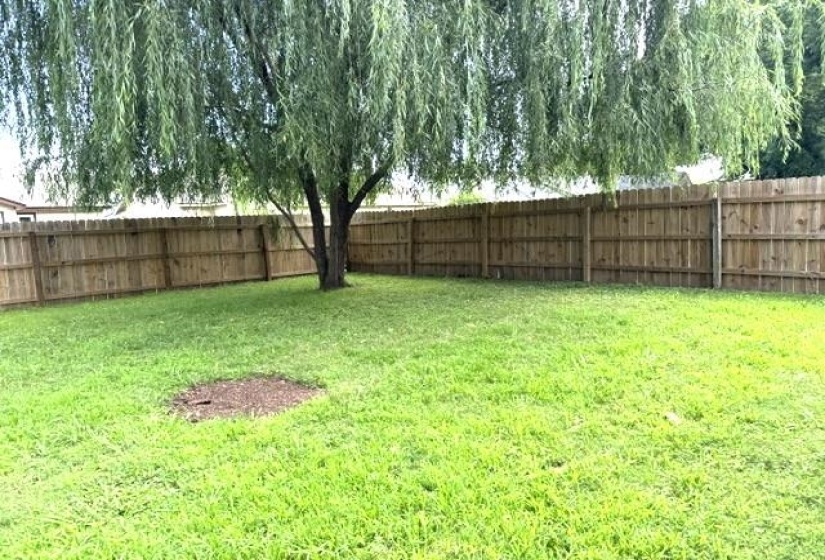Spacious fenced backyard featuring a mature weeping willow tree providing natural shade